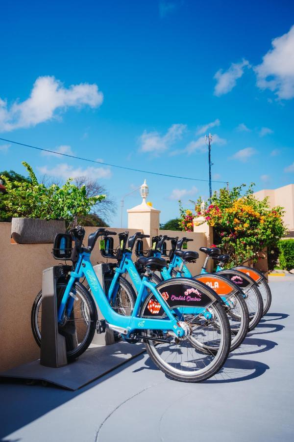 Rh Boutique Hotel Aruba Oranjestad Exterior photo